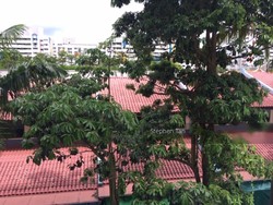 Blk 141 Teck Whye Lane (Choa Chu Kang), HDB 4 Rooms #197569652